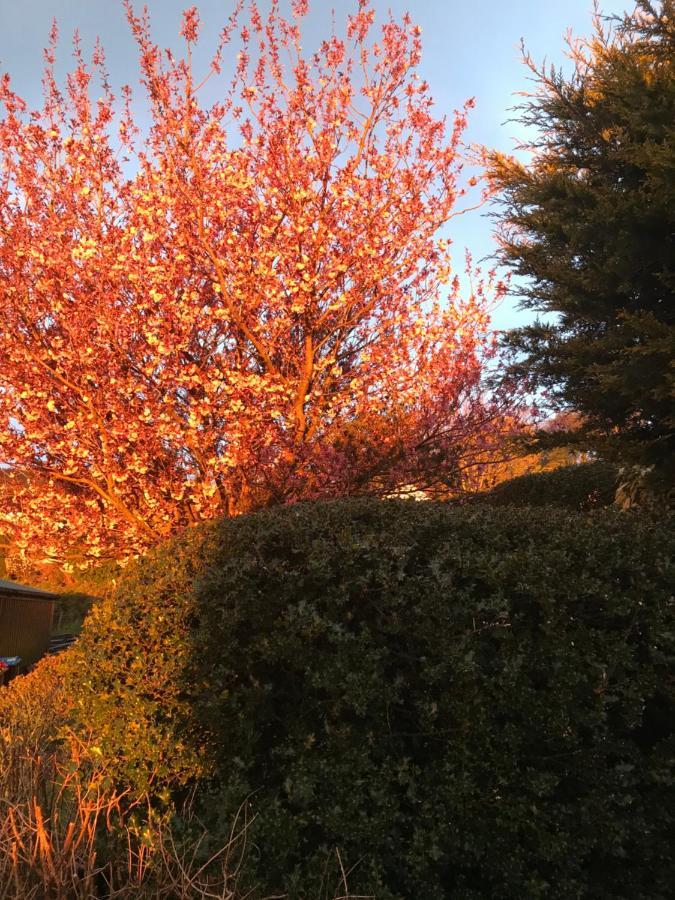 Jacquie'S B&B -Dumfries-Room With A View Экстерьер фото